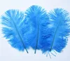 15-20CM Beautiful cheap Ostrich Feathers for DIY Jewelry Craft Making Wedding Party Decor Accessories Wedding Decoration GB834