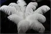 Färgglada 10-12 tum (25-30 cm) Ostrich Feather Plumes för bröllop Centerpiece Bröllopsfesten Evenemang Inredning Festlig dekoration GB834