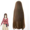 En gros livraison gratuiteDomestic Girlfriend Hina Tachibana Brown Cosplay Perruque Longue Cheveux Raides Pleine Perruque