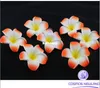 200pcs Dekoracje stołowe Plumeria Hawaiian Floam Frangipani Flower for Wedding Party Decoration Romance3818282