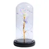 Beauty Gold Foil Rose Flower in Glass Dome con LED Light String Il miglior regalo per Anniversary Valentine Day1