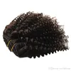 Afro Kinky Curly Clip in Human Hair Extensions Brasilian 100 Remy Hair 120gset Color 1 4 Option8007392