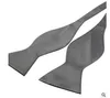 Hot Sell Glänsande Satin Plain Bow Slips Bröllop Bowties Självband Bow Slipsar Sexfärg Kan Shoose No: 02