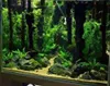 Reptilien-Aquarium-Dekoration, natürlicher Waldzweig mit Baumrinde, Terrarium-Holz-Aquarium-Ornament, variiert in Größe und Form