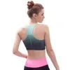 Wholesale-Coloriented Active Bra Wireless Underwear High Stretch Breathable Women Seamless Bra Clolorful Fashion Design