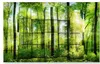 beautiful scenery wallpapers Fresh creative forest woods green decorative painting wall paper