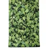 Embossed designer wallpaper Waterproof Wall leaf and flower design for Home Decor Removable PVC vinyl material