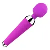 USB-uppladdningsbar mikrofon G-Spot Vibrator Massager Vattentät Dual Vibration Sexleksaker för Kvinnor Vuxen Produkt 4 Färg