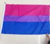 Banderas de la bandera gay con asta de plástico Bandera del orgullo transgénero Banderas del orgullo gay Tamaño 14 * 21 cm