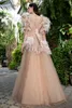 Prom Champagne Feather Dresses V Neck Lace Appliced ​​Pärlad SHORT SLEEVE Celebrity Party Glänningar Golvlängd Kostym Formell aftonklänning