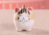 Мультфильм Pet Cat Planter Горшки Горячей Продажи Пальцев Суккулентов Легко Растущий Цветочный Горшок Рабочий Стол Смешно Балкон Декор Сада