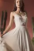 Elegant A Line Wedding Dresses Sexy Spaghetti V Neck Open Back Wedding Dress Lace Applique Feather Bridal Gown