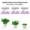 LED Grow Light 6ª Geração Série Full Spectrum Plant Light com Daisy Chain para interior, estufa, hidroponia Veg e Bloom