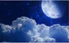 Night sky moon cloud ceiling mural 3d ceiling murals wallpaper