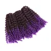 8 -calowy krótki skręt Pasja szydełka przedłużenie włosów 3 wiązki Marlybob Kinky Curly for Black Women Braids Water Fave Plekające przedłużenie LS05