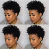 Hot Lndian Hair African Amed Afro Short Cut Kinky Curly Full Wig Simulation Human Hair Kinky Curly Wig