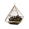 Fat Pyramid Hanging Terrarium Geometric Succulent Planter Micro Landscape Greenhouse for Fern Moss Glass Display Vase Black Gold