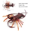 Simulation Lobsters Model Toys Decorative Props Australia Lobster Boston Lobster Marine Animals Models Ornaments Decorations Kids Learning Educational Toy
