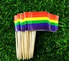 Rainbow Flag Toothpick Lesbian Gay Pride LGBT Flag Banner Cooktail Sticks Picks SN2452