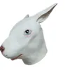 Halloween carino coniglio in lattice maschere in lattice orecchie di coniglietto animale maschera maschera in maschera oggetti costumi costumi danzanti di dimensioni per adulti7975129