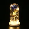 LED Beauty Rose and Beast Battery Powered Red Flower String Light Desk Lamp Romantic Valentine039S Day Birthday Gifter Decoration9469804