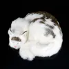 Realistiska djur liggande katt plysch leksaksimulering minikatter husdjur leksak bild dekoration gåva 29x30x10 cm dy800442882194