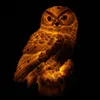 Weerbestendige Outdoor LED Solar Owl Light, Courtyard Street Light, Outdoor Waterproof Lighting Lights