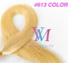 Vente en gros # 27 # 60 Couleur naturelle européenne I-tip Human 1g / strand 50g Single Drawn Pre-bonded Virgin Remy Human Straight Hair Extensions