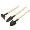 3pcs / set Mini Show Rake Set Portable Gardening Tool Widden Handing Metal Head Harrows Spade for Flowers Pot CCA1485-A 100set