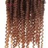 Passsion torção extensões de cabelo ombre twist pré-loop trança crochet trança sintética crochet extensão de cabelo 18inch pré-torcido 2021 moda dhgate cabelo