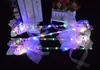 LED Light Sticks Versione aggiornata del maiale cielo stellato palla fata bar animato palla flash bacchetta magica giocattoli