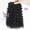 Indian Unprocessed Virgin Human Clip Ins 3A 3B 3C Afro Kinky Curly 4A 4B 4C 120g Natural Color #1B Clip In Hair Extensions