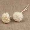 Goede fabrieksprijs handgemaakte woondecoratie geur parfum rotan 2,5 cm diameter sola hout bloem met riet diffuser stick