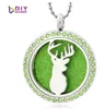 Fashion- colorful deer head 30mm Round glossy magnet can be open 316L Stainless steel perfume pendant fit necklace without chain