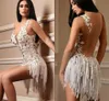 Sexy Mini Prom Dresses Sheer V Neck Beads Backless Evening Gowns Lace Appliqued With Tassel Formal Cocktail Dress Ogstuff