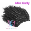 100％未処理100g 120g 140g 160g Afro Kinky Cullyストレート4A 4B 4Cクリップインバージンレミー人間の髪の拡張子