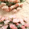 Simulation Crab Claw Hrysanthemum Artificial Flower High Quality Home Decoration Accessories Wedding Bouquet Plant Flower Wall Fake Flowers