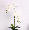 10 Teile/los Lebensechte Künstliche Schmetterling Orchidee Blume Seide Phalaenopsis Hochzeit Hause DIY Dekoration Gefälschte Blumen 8820871