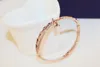 Nieuwe Mode ins Luxe Designer Multi Layer Super Glinsterende Diamant Rose Gold Bangle Armband voor Vrouw Meisjes 19 cm met schattige charme
