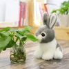 symulacja pluszowe zwierzęta puszyste miękkie wysokiej jakości szary biały króliczka życie jak styl Pluszowy prezent na zabawki zwierzęce dla dziewczynki6719229