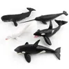 Juguete modelo ballena, 9 animales marinos modelo sólido, simulación alta de tamaño grande, para enseñanza cognitiva infantil, regalo para niños, adorno Orcinus Orca Shark Ballena jorobada Pottwal Grampus