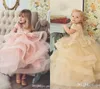 赤ちゃんピンクの花の女の子の服 - 婚約半袖レースのアップリケのためのラフルズオーガンザガールズのページェントドレスの最初の聖体拝領のドレス