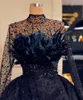 Bohemian Black Ienasdresses Ball Gown Wedding Dresses Long Sleeve High Neck Satin Princess Gown Tulle Lace Feather Crystal Bridal Gowns 220c