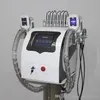 Ny bärbar kryolipolys Fat frysande bantningsmaskin Cryoterapi Ultraljud RF Liposduktion Lipo Laser Beauty Equipment UPS DHL