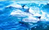 3D Ocean Dolphin Wave Banheiro Piso Azulejo papel de parede para paredes 3 d para sala de estar