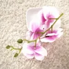 DIY wedding flower wall 19cm long smalll orchid heads white pink color Phalaenopsis Orchid Silk Flower Heads Butterfly Orchid Heads