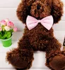 Regulowany Pet Dog Bow Tie Pet Headress Szyja Akcesoria Naszyjnik Kołnierz Puppy Jasny Kolor Odzież