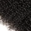 8A MALAYSIAN CURLY CHEL TEAVE 3 PACEURS BUNT THEUR ÉPART REMY HEUR HEUR TROUT NON CHIMIQUE DEEP KINKYS CURL 30 26 26 24 12 10 8INCH4284694