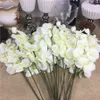 20pcslot des branches d'orchidées blanches entières Fleurs artificielles pour les orchidées de décoration de fête de mariage Fleurs pas cher 8777592