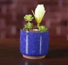 Gelo Rachado Mini Vaso De Flores Em Cerâmica Colorido Bonito Vaso De Flores Para A Decoração De Mesa Meaty Em Vasos Plantas Plantadores SN2486